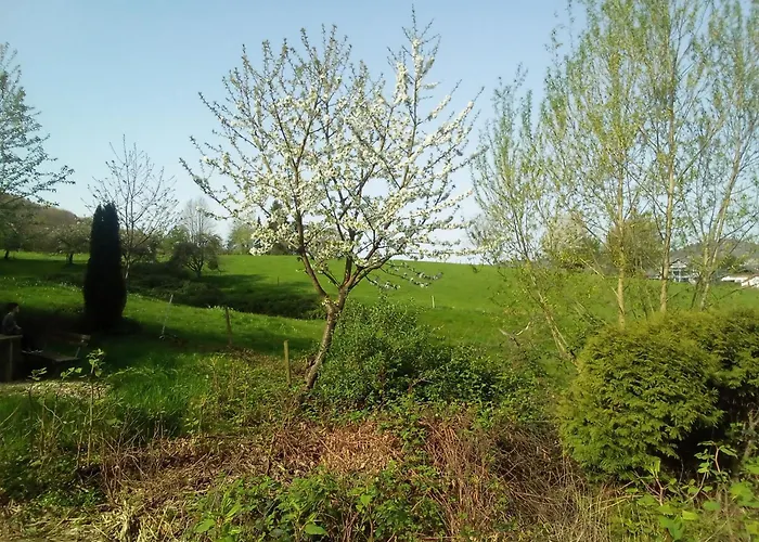 Nettes Apartment Forest Hill Birkenau Heidelberg Mannheim Weinheim
